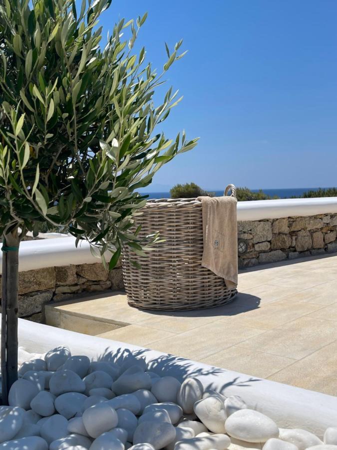 Seethrough Mykonos Suites (Adults Only) Platis Yialos Extérieur photo