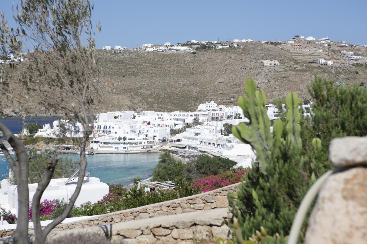 Seethrough Mykonos Suites (Adults Only) Platis Yialos Extérieur photo